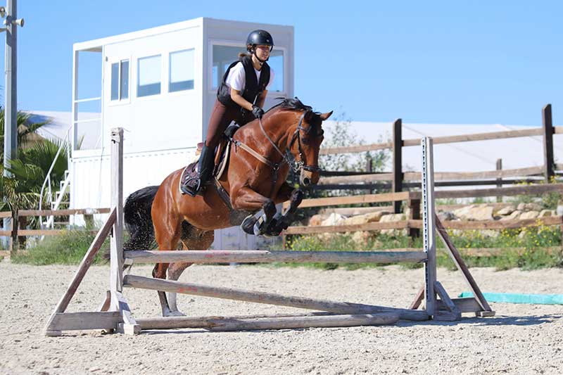 chaleco-hipica-1 chaleco hipica